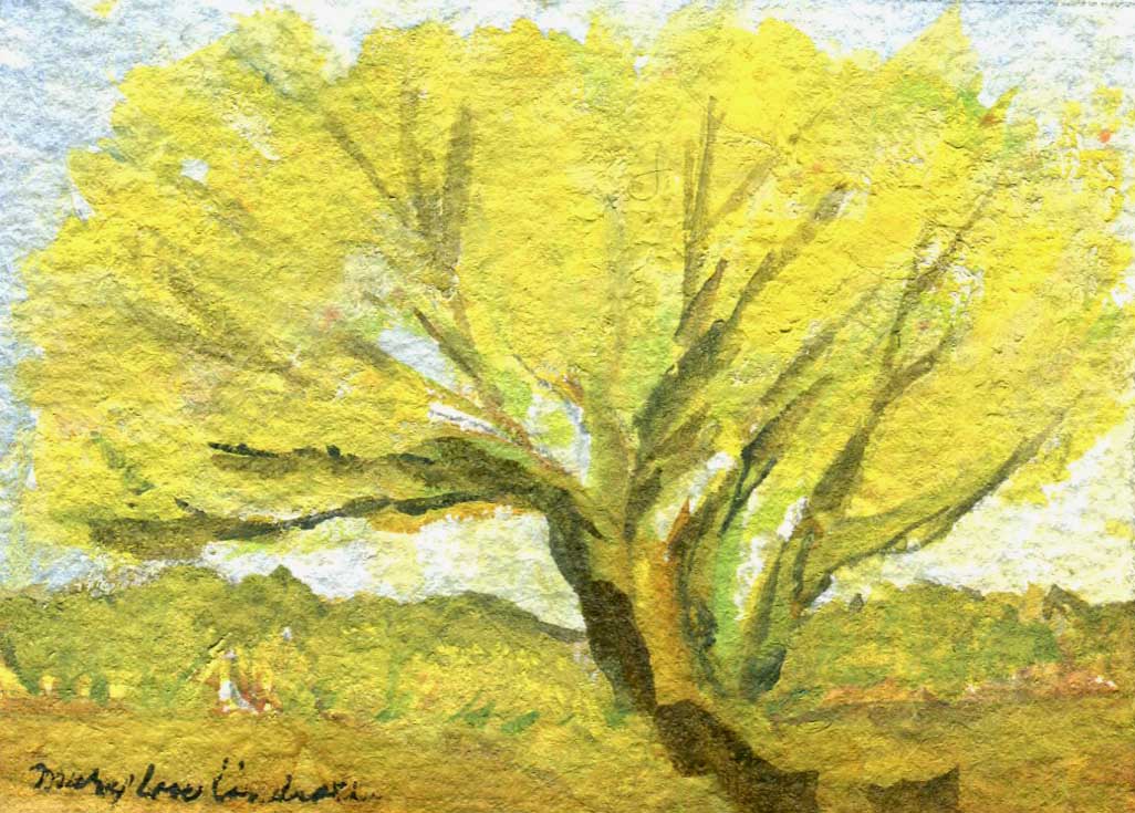 "Yellow In The Desert" by Mary Lou Lindroth, Rockton IL - Watercolor